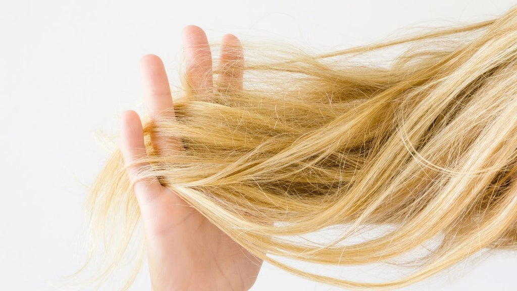 Como recuperar o cabelo poroso