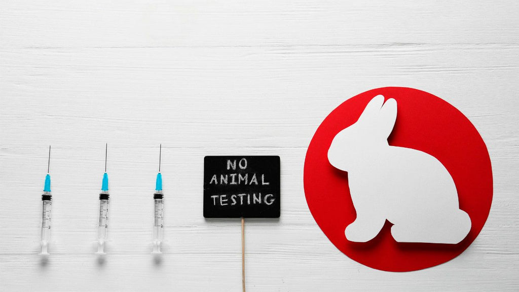 Entenda como produtos cruelty free são testados e qual a sua importância