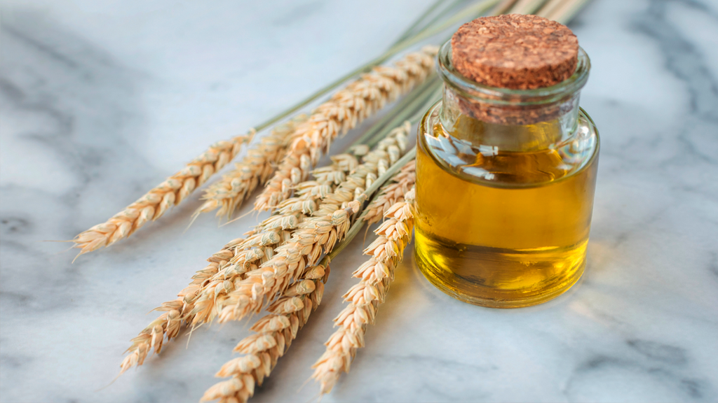Óleo de gérmen de trigo: benefícios para a pele e cabelos